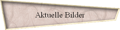 Aktuelle Bilder